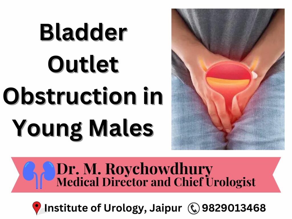 Dr. M ROychowdhury Dr Rajan Bansal Best Urologist in Rajasthan