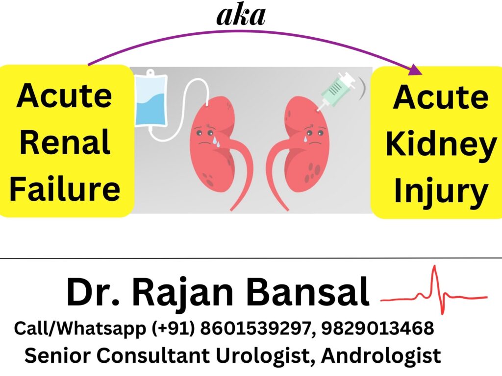Acute Renal Failure Kidney Injury Treatment in Jaipur Rajasthan Best Urologist doctor Dr. Rajan Bansal MCH Urology