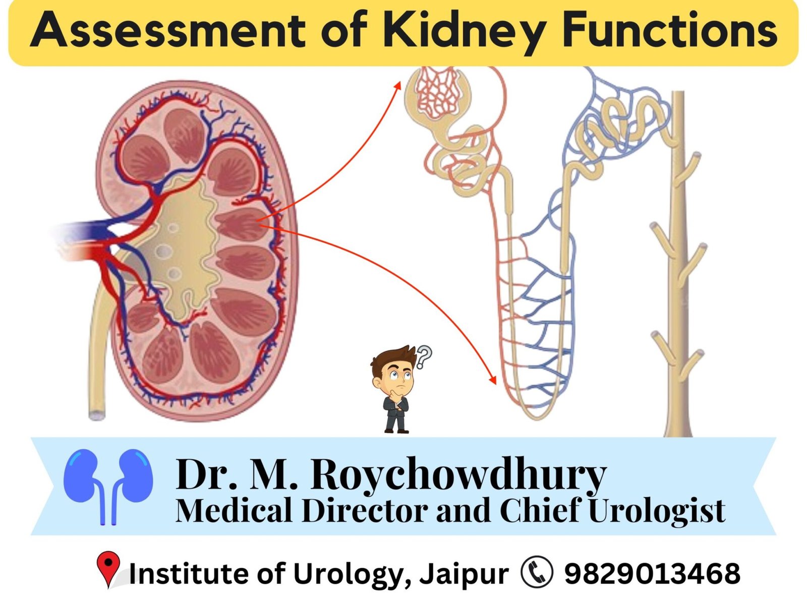 Assessment of Kidney Functions : Comprehensive Overview and Current ...